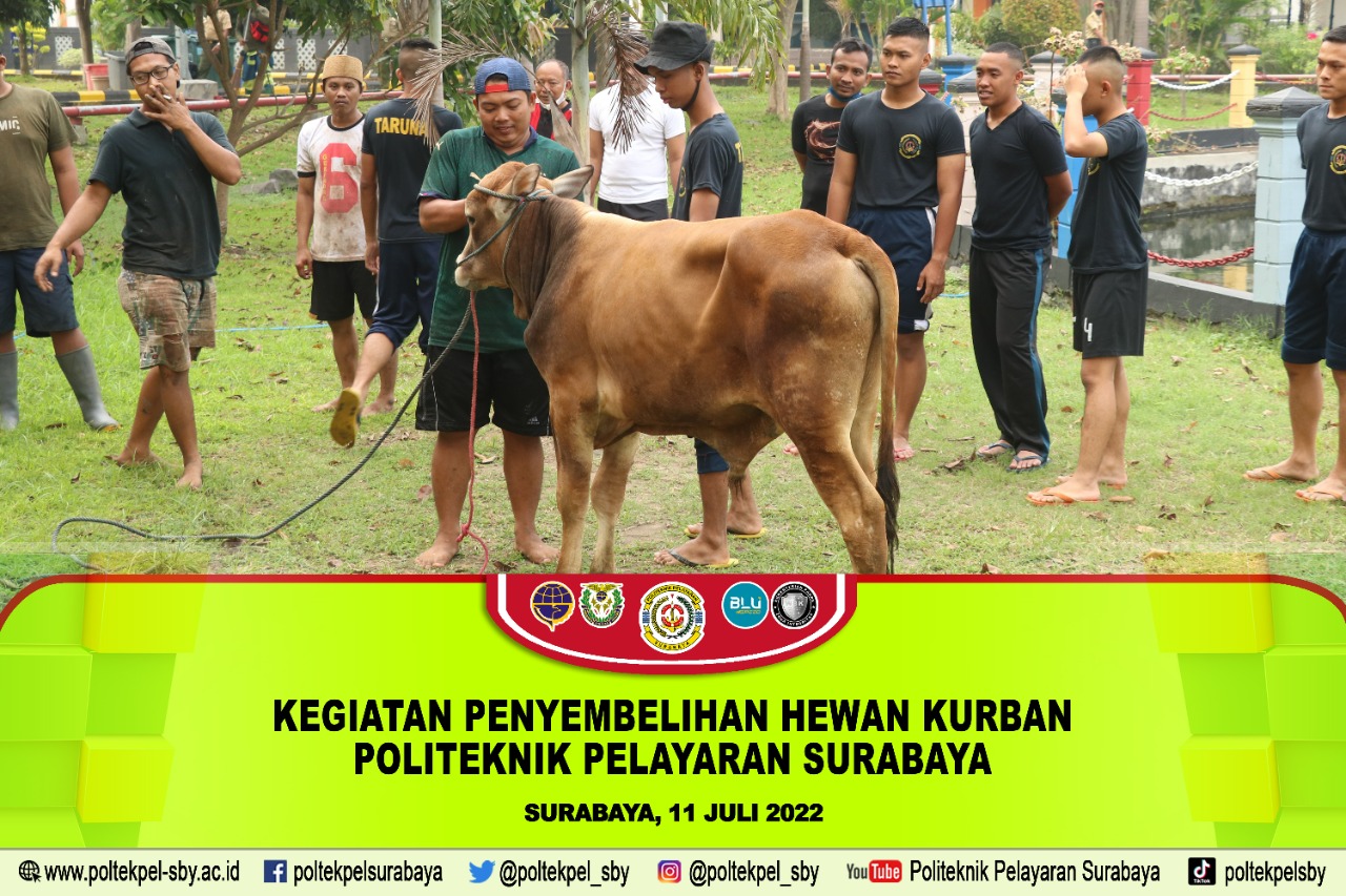 Kegiatan Penyembelihan Hewan Kurban di Politeknik Pelayaran Surabaya